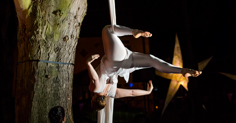 North Hykeham - Dreaming Tree artsNK aerial dance performance