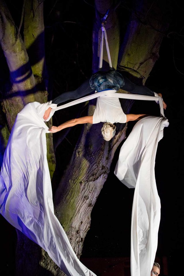 The Dreaming Tree performance
